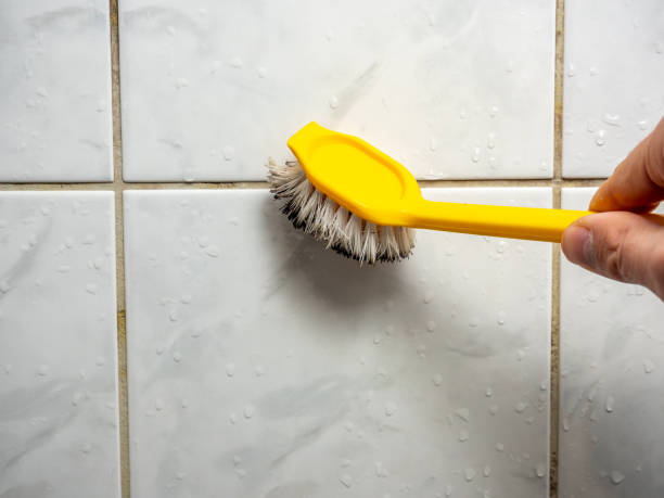 Best Office Mold Removal Services  in Canyon Day, AZ