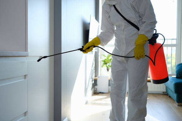 Best Best Mold Removal Companies  in Canyon Day, AZ