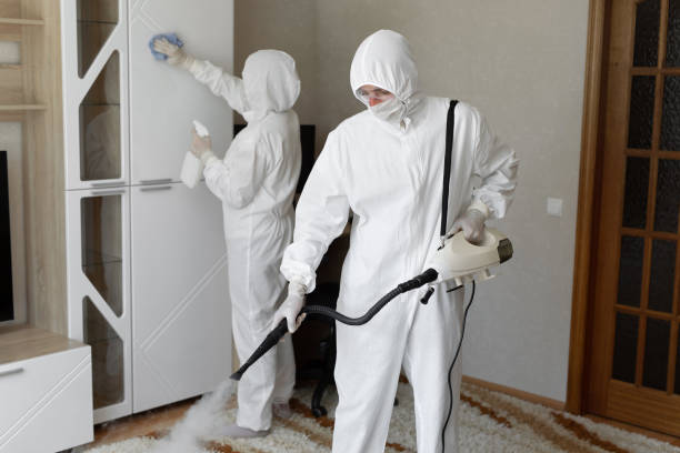 Mold Removal and Inspection in Canyon Day, AZ