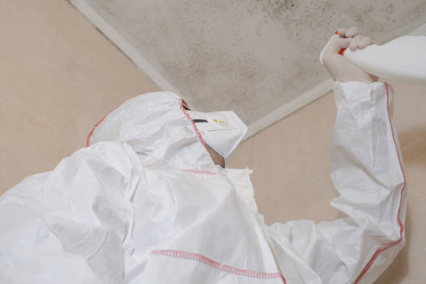 Best Mold Removal Process  in Canyon Day, AZ